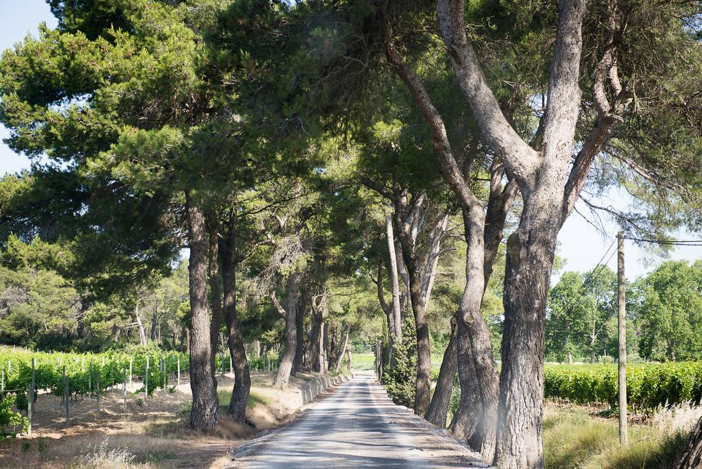 Willa Chateau Canet Rustiques Zewnętrze zdjęcie