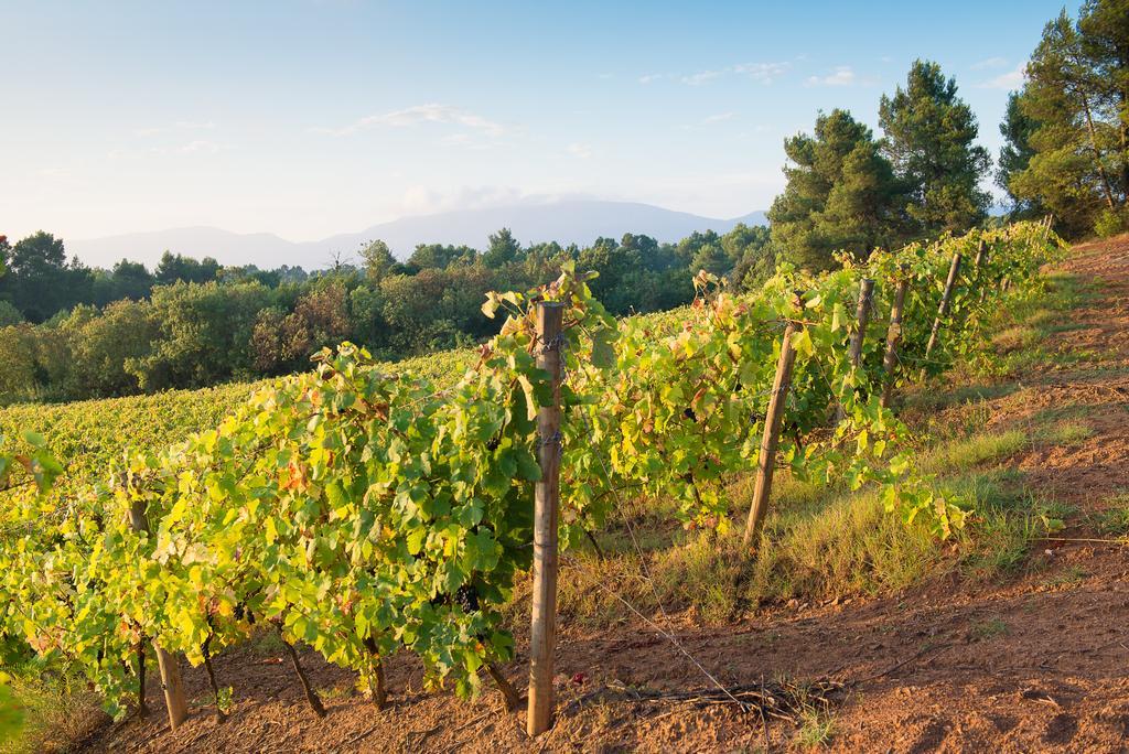 Willa Chateau Canet Rustiques Zewnętrze zdjęcie