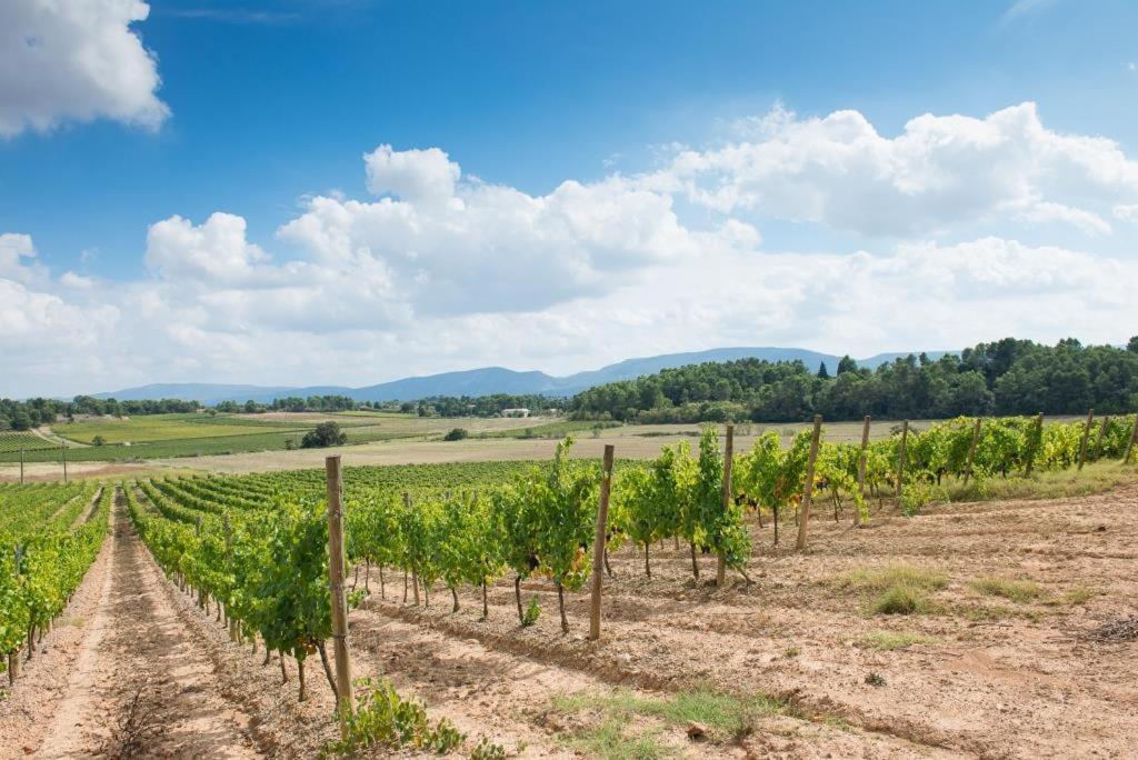 Willa Chateau Canet Rustiques Zewnętrze zdjęcie